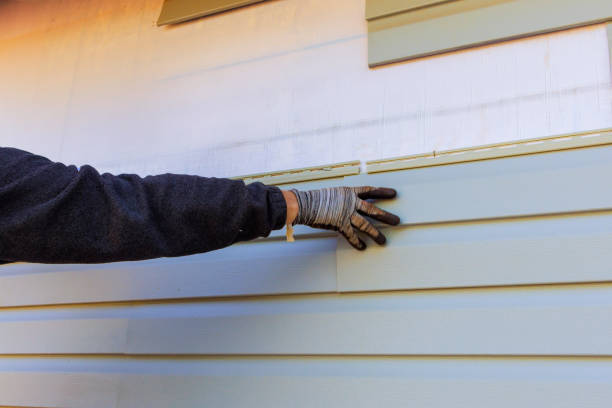 Best Engineered Wood Siding  in Lucerne, CA